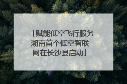 赋能低空飞行服务 湖南首个低空智联网在长沙县启动