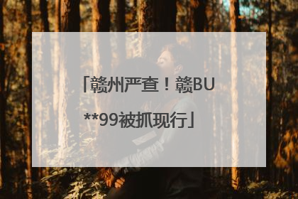 赣州严查！赣BU**99被抓现行