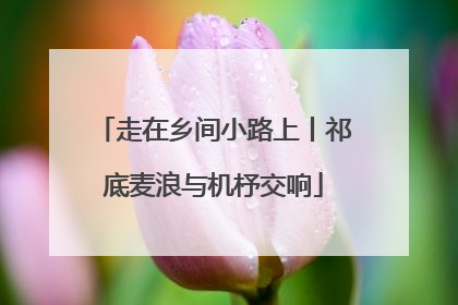 走在乡间小路上丨祁底麦浪与机杼交响