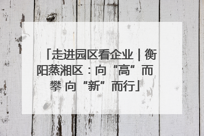 走进园区看企业｜衡阳蒸湘区：向“高”而攀 向“新”而行