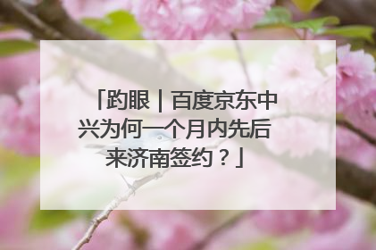 趵眼｜百度京东中兴为何一个月内先后来济南签约？