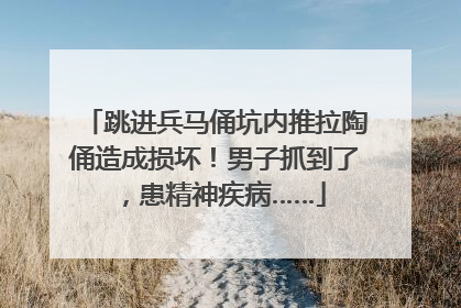 跳进兵马俑坑内推拉陶俑造成损坏！男子抓到了，患精神疾病……