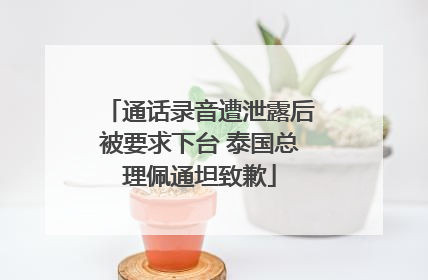 通话录音遭泄露后被要求下台 泰国总理佩通坦致歉