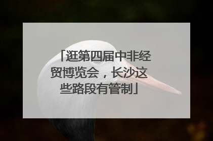 逛第四届中非经贸博览会，长沙这些路段有管制