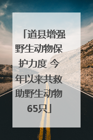 道县增强野生动物保护力度 今年以来共救助野生动物65只