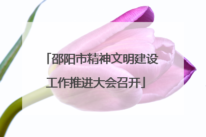 邵阳市精神文明建设工作推进大会召开