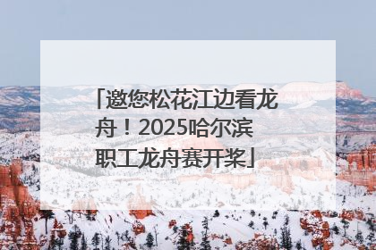 邀您松花江边看龙舟！2025哈尔滨职工龙舟赛开桨