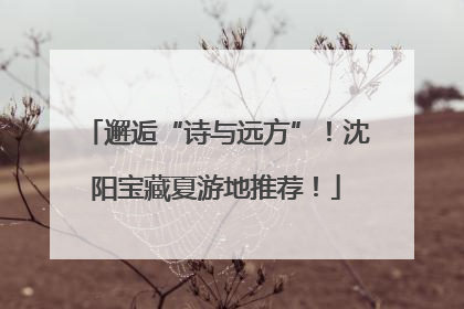 邂逅“诗与远方”！沈阳宝藏夏游地推荐！