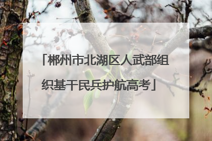 郴州市北湖区人武部组织基干民兵护航高考