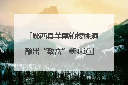 郧西县羊尾镇樱桃酒酿出“致富”新味道