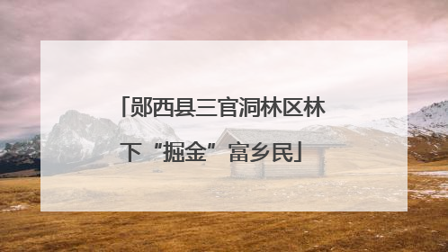 郧西县三官洞林区林下“掘金”富乡民