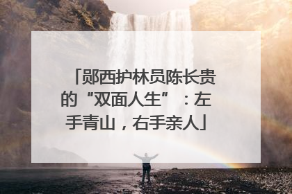 郧西护林员陈长贵的“双面人生”：左手青山，右手亲人