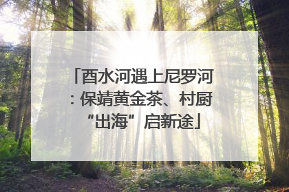 酉水河遇上尼罗河：保靖黄金茶、村厨“出海”启新途