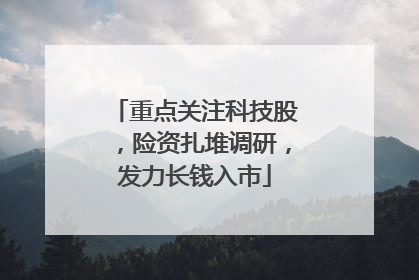 重点关注科技股，险资扎堆调研，发力长钱入市