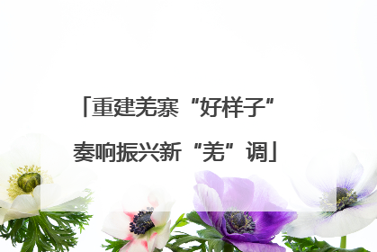 重建羌寨“好样子” 奏响振兴新“羌”调
