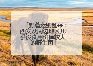 野蘑菇别乱采：西安及周边地区几乎没食用价值较大的野生菌