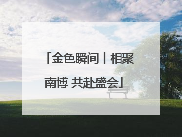 金色瞬间丨相聚南博 共赴盛会