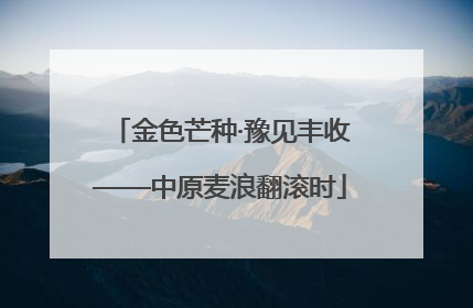 金色芒种·豫见丰收——中原麦浪翻滚时