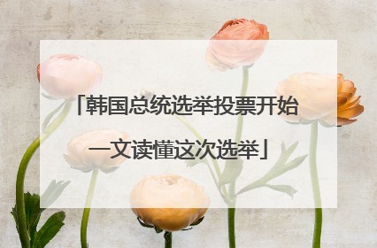 韩国总统选举投票开始 一文读懂这次选举
