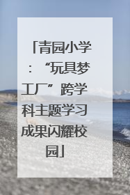 青园小学：“玩具梦工厂”跨学科主题学习成果闪耀校园