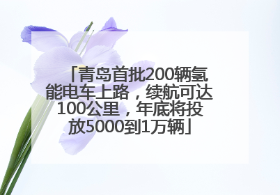 青岛首批200辆氢能电车上路，续航可达100公里，年底将投放5000到1万辆