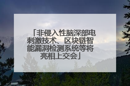 非侵入性脑深部电刺激技术、区块链智能漏洞检测系统等将亮相上交会