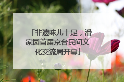 非遗味儿十足，潘家园首届京台民间文化交流周开幕