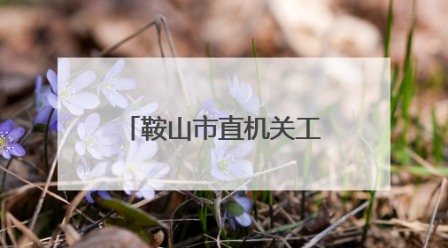鞍山市直机关工委锚定“五个聚焦”抓党建促振兴