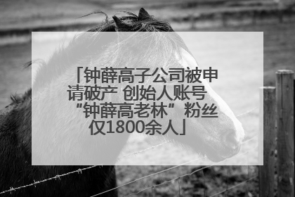 钟薛高子公司被申请破产 创始人账号“钟薛高老林”粉丝仅1800余人