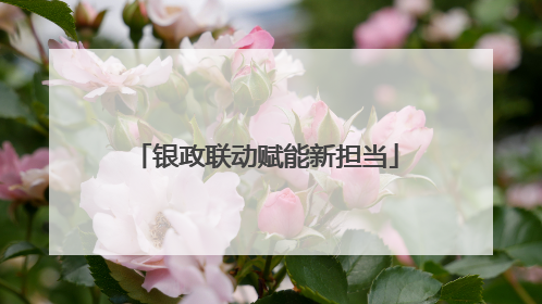 银政联动赋能新担当