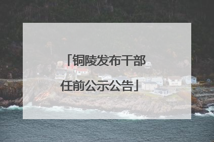 铜陵发布干部任前公示公告