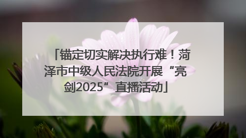 锚定切实解决执行难！菏泽市中级人民法院开展“亮剑2025”直播活动