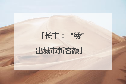 长丰：“绣”出城市新容颜