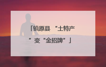 镇原县 “土特产”变“金招牌”