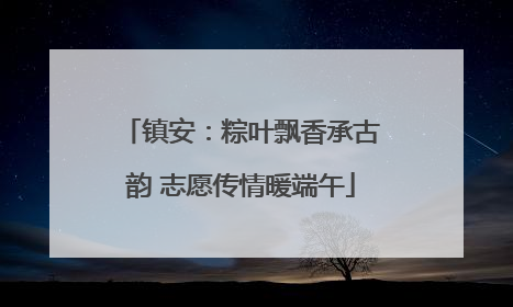 镇安：粽叶飘香承古韵 志愿传情暖端午