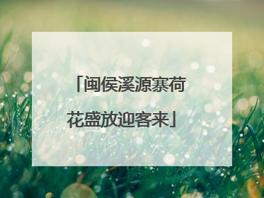 闽侯溪源寨荷花盛放迎客来