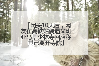 闭关10天后，网友在高铁站偶遇文班亚马，少林寺回应称其已离开寺院