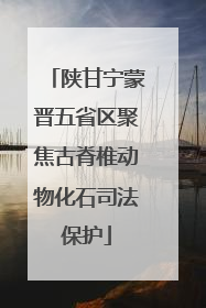 陕甘宁蒙晋五省区聚焦古脊椎动物化石司法保护