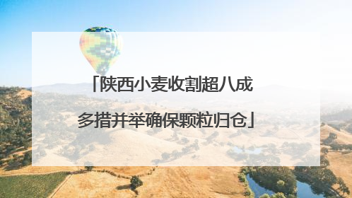陕西小麦收割超八成 多措并举确保颗粒归仓