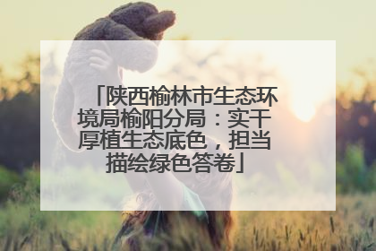 陕西榆林市生态环境局榆阳分局：实干厚植生态底色，担当描绘绿色答卷