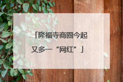 隆福寺商圈今起又多一“网红”