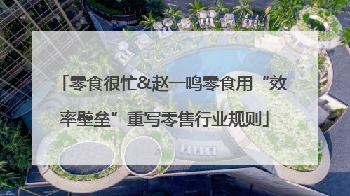零食很忙&赵一鸣零食用“效率壁垒”重写零售行业规则