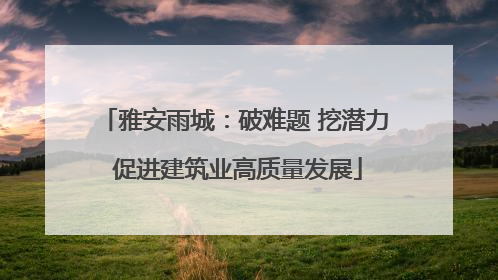 雅安雨城：破难题 挖潜力 促进建筑业高质量发展