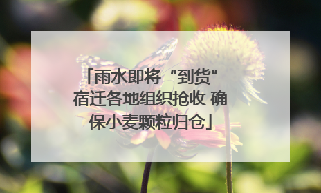雨水即将“到货” 宿迁各地组织抢收 确保小麦颗粒归仓