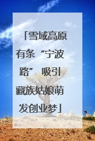雪域高原有条“宁波路” 吸引藏族姑娘萌发创业梦