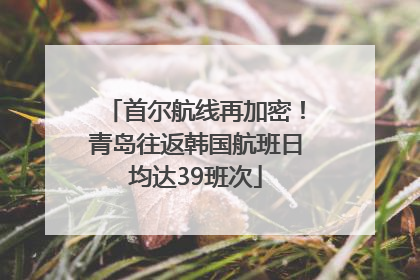 首尔航线再加密！青岛往返韩国航班日均达39班次