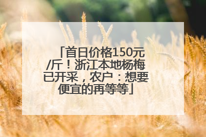 首日价格150元/斤！浙江本地杨梅已开采，农户：想要便宜的再等等