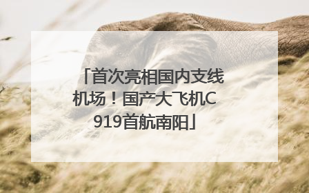 首次亮相国内支线机场！国产大飞机C919首航南阳