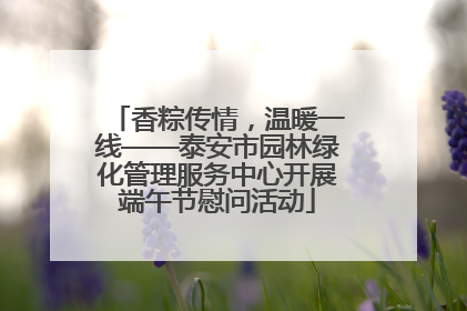 香粽传情，温暖一线——泰安市园林绿化管理服务中心开展端午节慰问活动