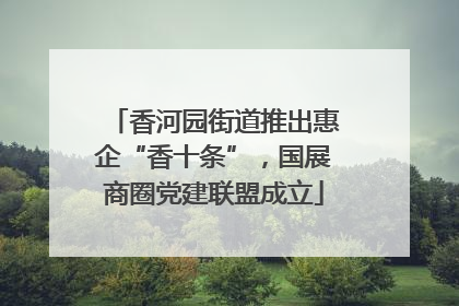 香河园街道推出惠企“香十条”，国展商圈党建联盟成立